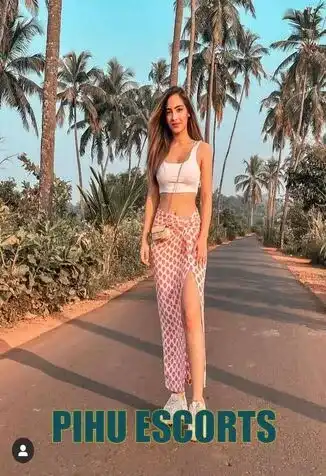 Vip Sarojini Nagar Escorts